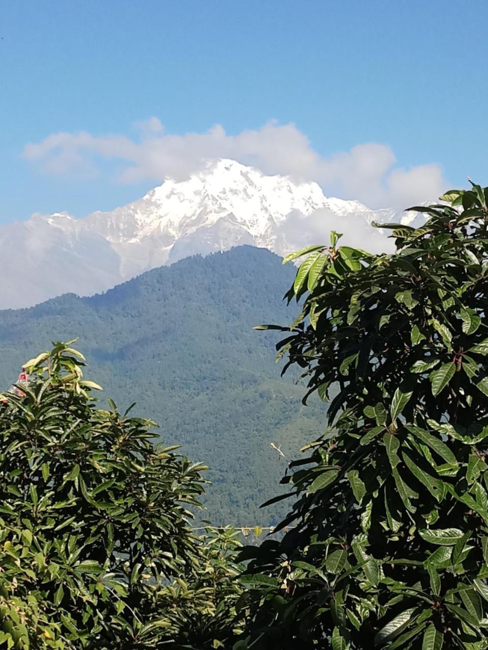 Hotel Lotus Inn Pokhara Exterior foto