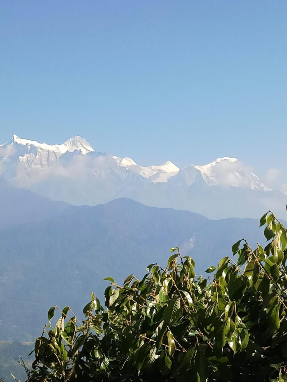 Hotel Lotus Inn Pokhara Exterior foto