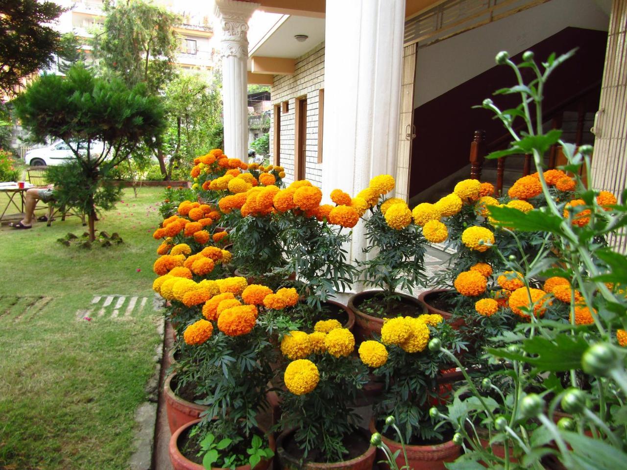 Hotel Lotus Inn Pokhara Exterior foto